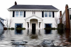 flood insurance 