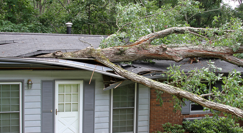 no fault insurance, OREO insurance, property insurance